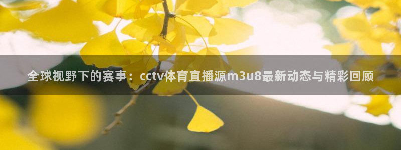 说球帝免费直播：全球视野下的赛事：cctv体育直播源m3u8最新动态与精彩回顾