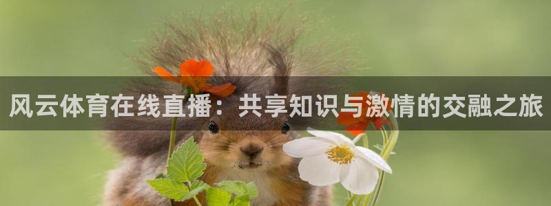 wnba直播免费观看说球帝：风云体育在线直播：共享知识与激情的交融之旅