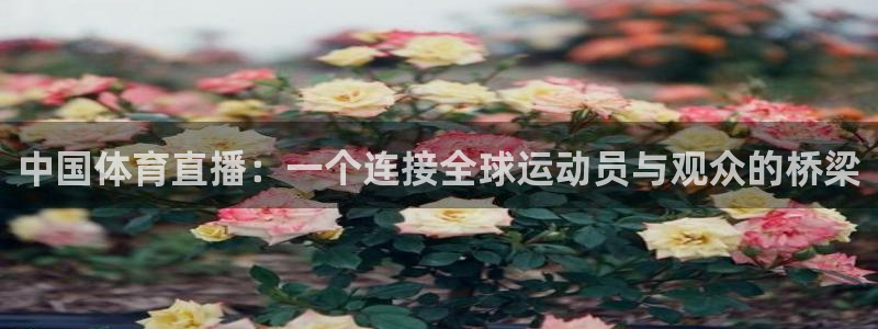 nba在线直播免费观看直播说球帝：中国体育直播：一个连接全球运动员与观众的桥梁